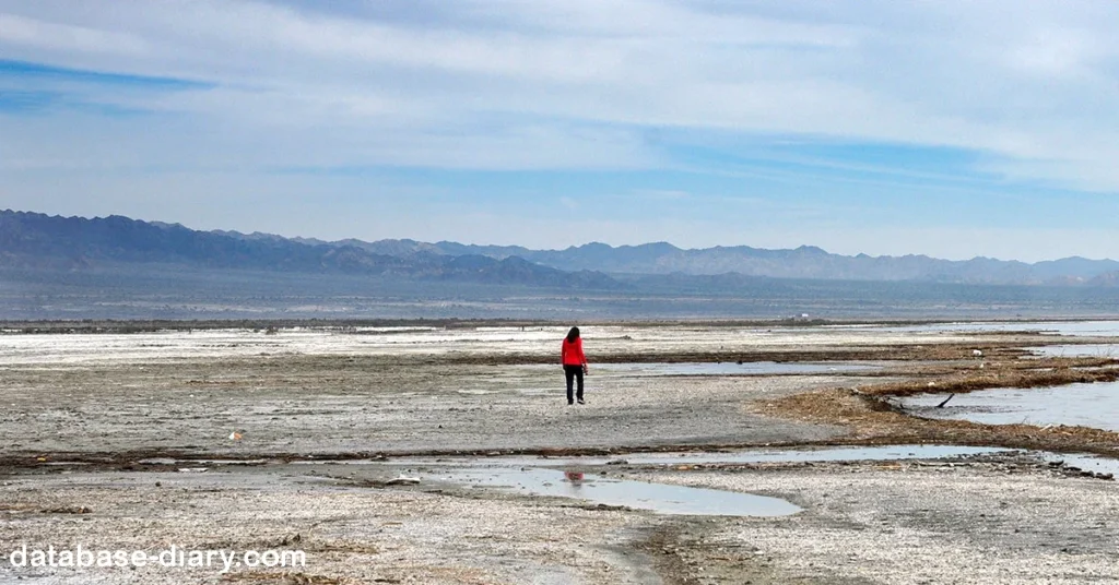 Salton Sea California ทะเลซอลตัน เป็นสถานที่แนวเนื่องในทางตอนใต้ของรัฐแคลิฟอร์เนียในสหรัฐอเมริกา มันเป็นทะเลเทียมขนาดใหญ่