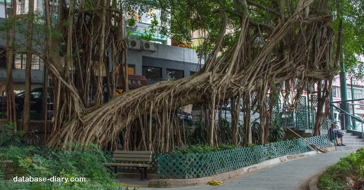 สวนเบลค