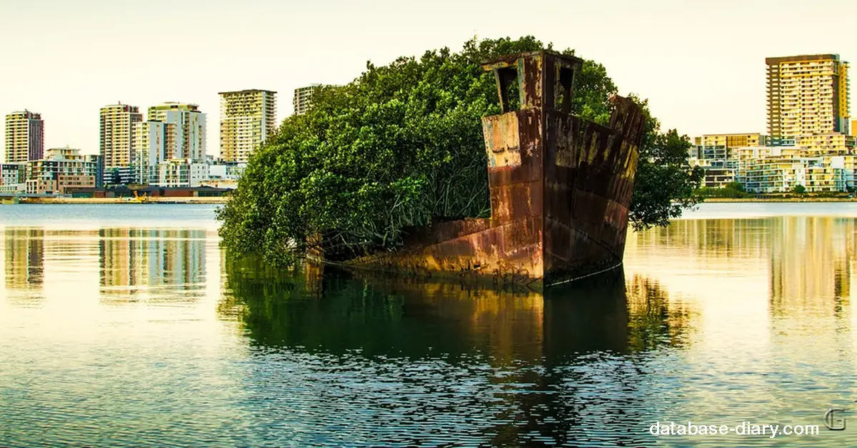 floating forest