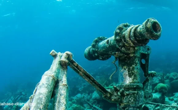 Diving the Bermuda