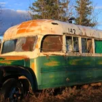 Magic Bus
