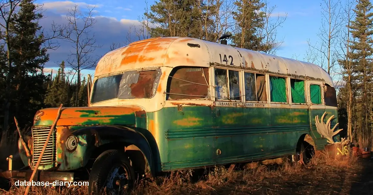 Magic Bus